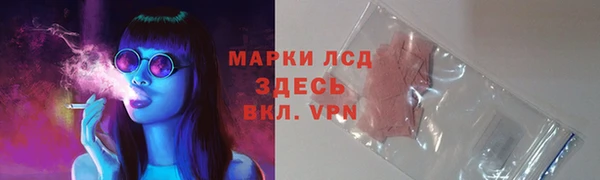 spice Вяземский